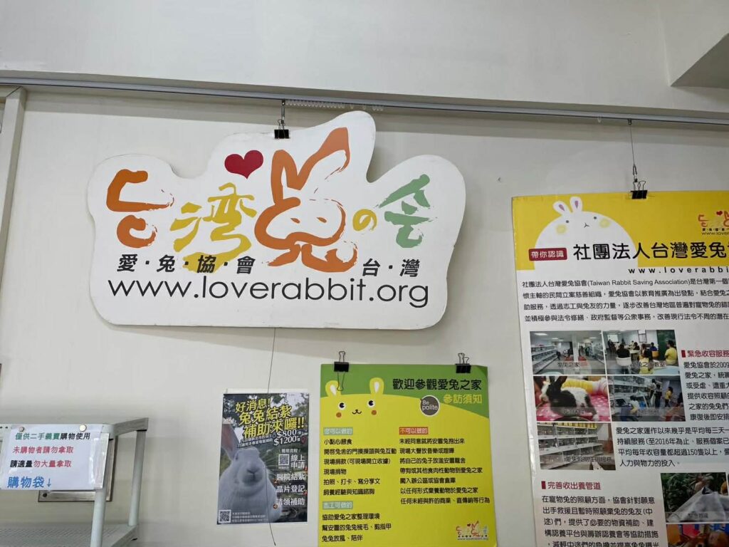 愛兔協會天竺鼠認養